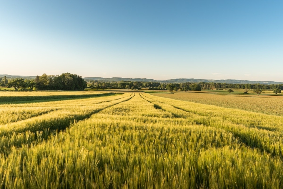 570eb305-b217-42ff-b68b-d7c1b9cf256d-1763179700