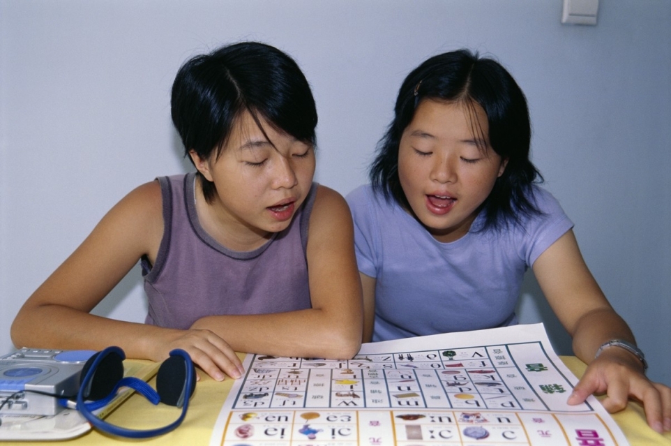 693bfb00-3da1-4412-bed5-3cfbf888cc9a-1771598410