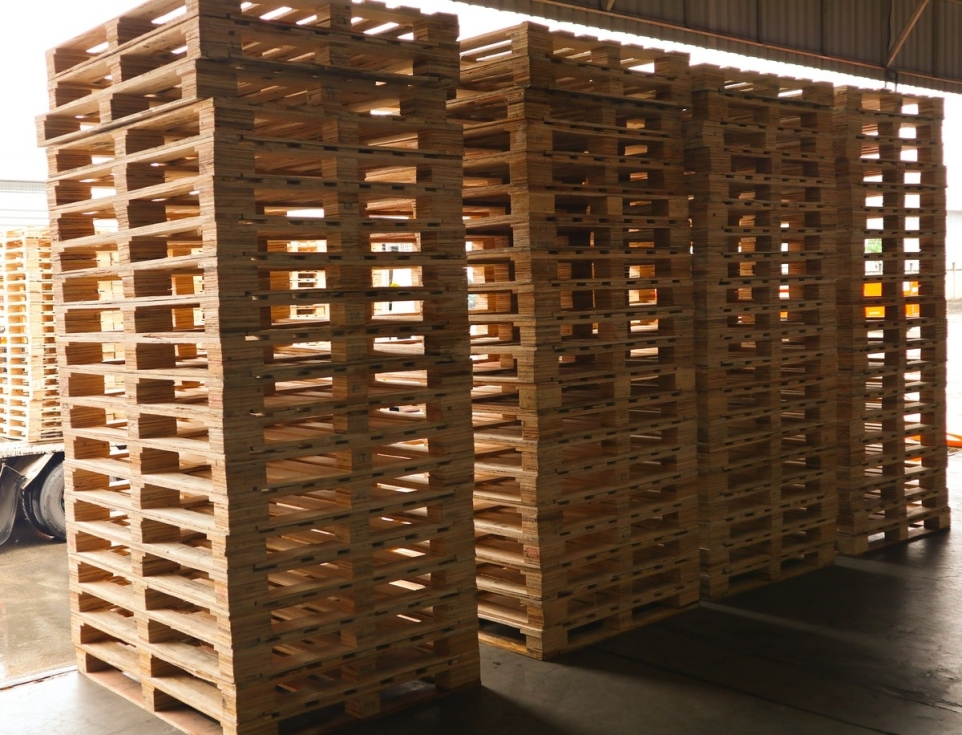 804dbfac-65df-4426-989c-b4a7211c3e31-1770246110