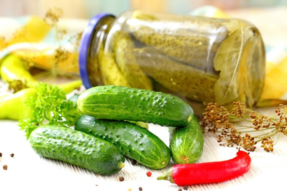 456fd093-bc2a-44ef-8c28-8b79fa1daa0f-1764045130