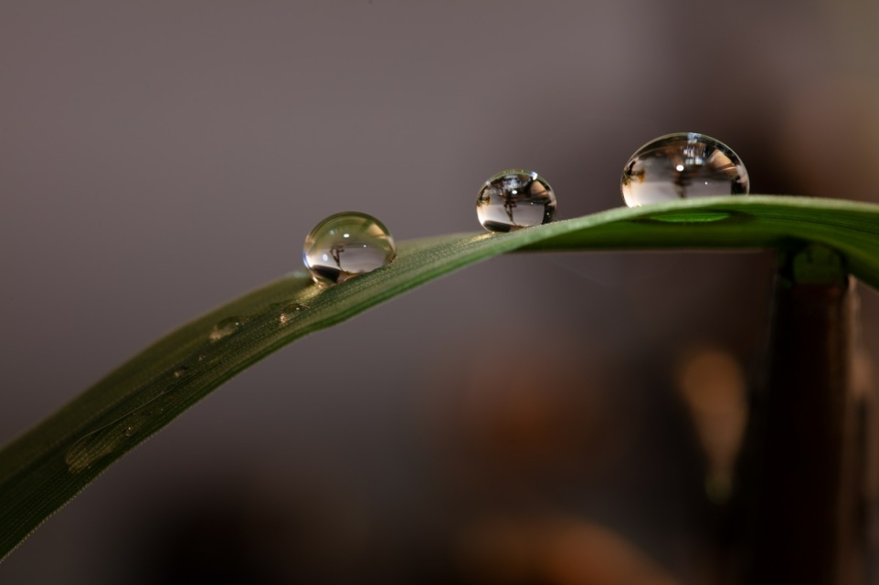 795f1306-da29-4377-9fca-ee63d8b04a7f-1770245230