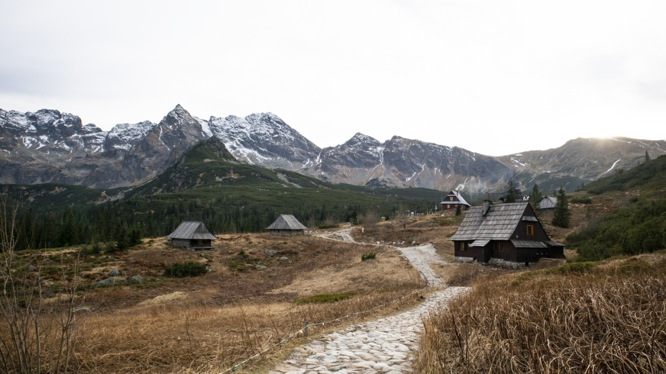 7f0b3b2e-fa9b-4b7f-a3ee-c38a0d47b843-1765853030