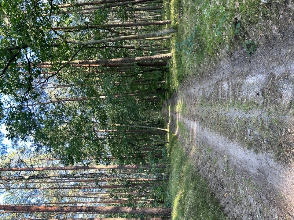 6fefb897-e97f-43ec-8a5a-ecb09a3c2b3c-1770243950