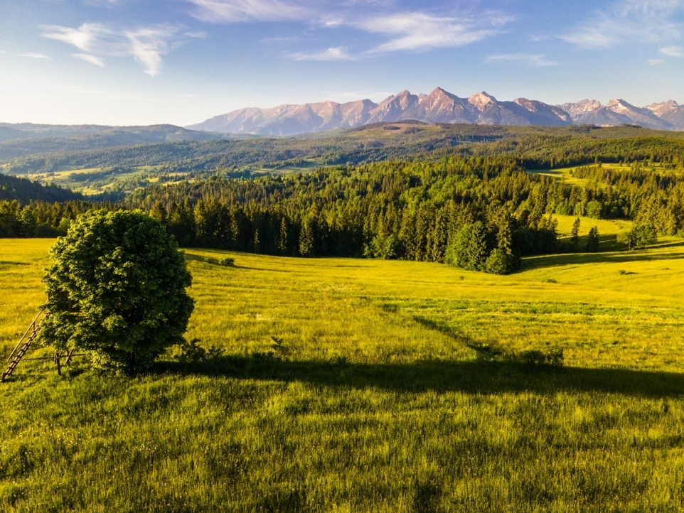 e6540cfd-b4b3-4a21-a58b-5def5495457e-1758315150