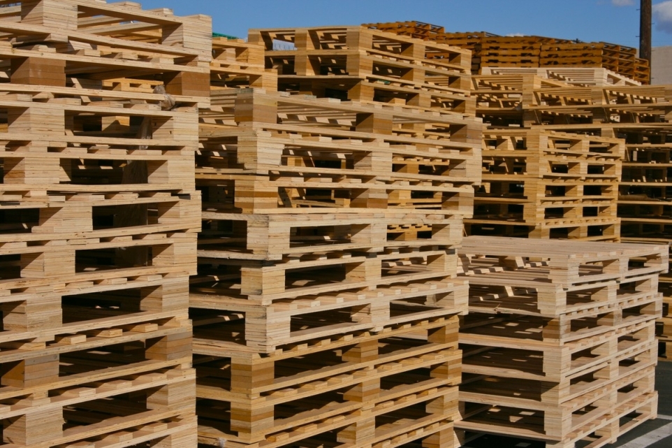 6a4d7c01-b004-4910-958e-d665318e7417-1770246160