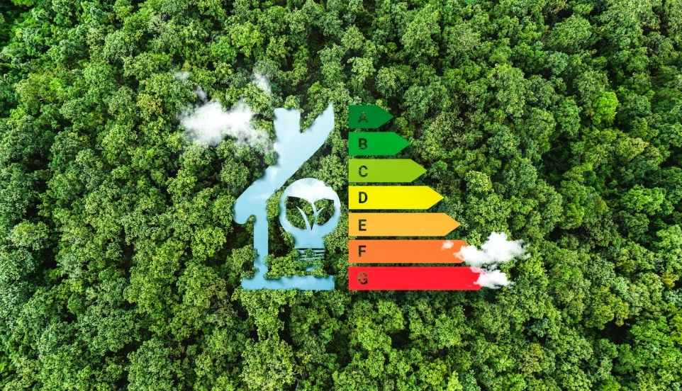 bba2badd-48b0-4c7b-a87d-e6d9d529649d-1770220560