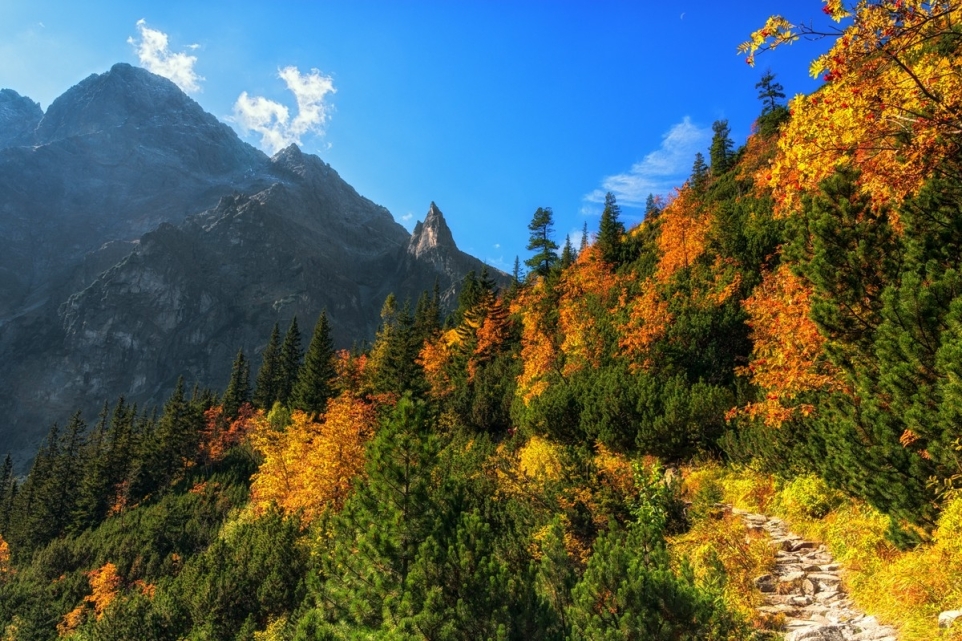 0f424d5b-baeb-4fba-bb50-0995e346b839-1765853090