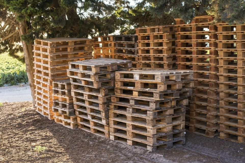 93dd8bca-aea3-4707-951c-ad62dd47ef03-1770245101