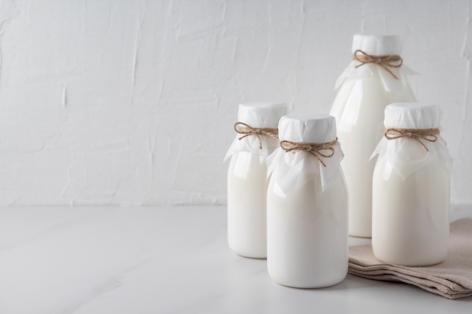 Domowy kefir roślinny
