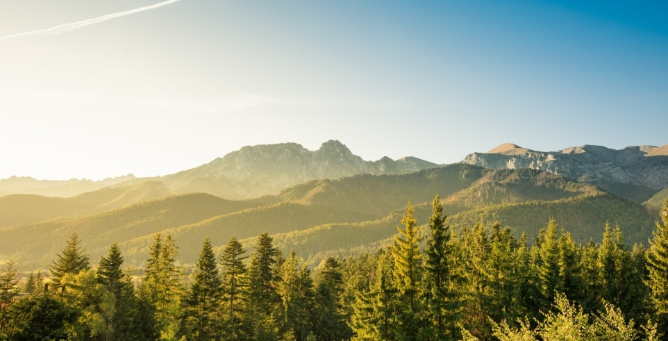 ad0f167b-a785-406c-a5b4-6feedb673d53-1758199811