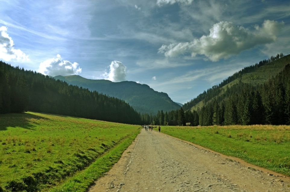 cb7468d1-17a7-4933-b998-9cf2fafc845f-1758658931