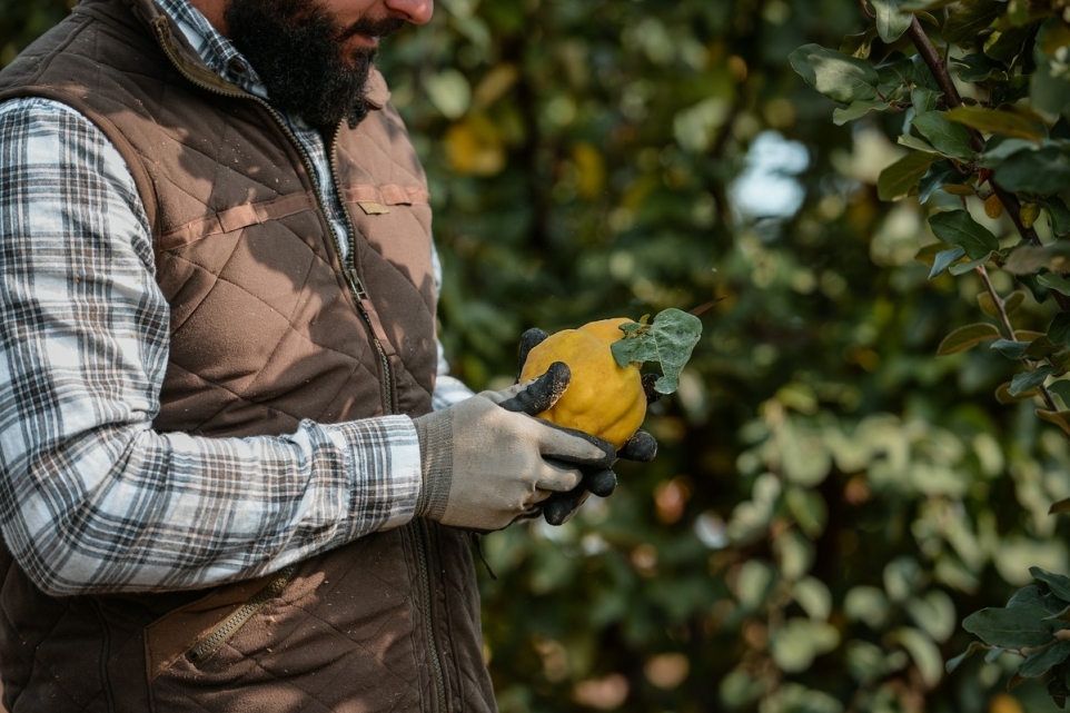 ce547100-2e01-4605-98c7-ce8c82f421fa-1770206231