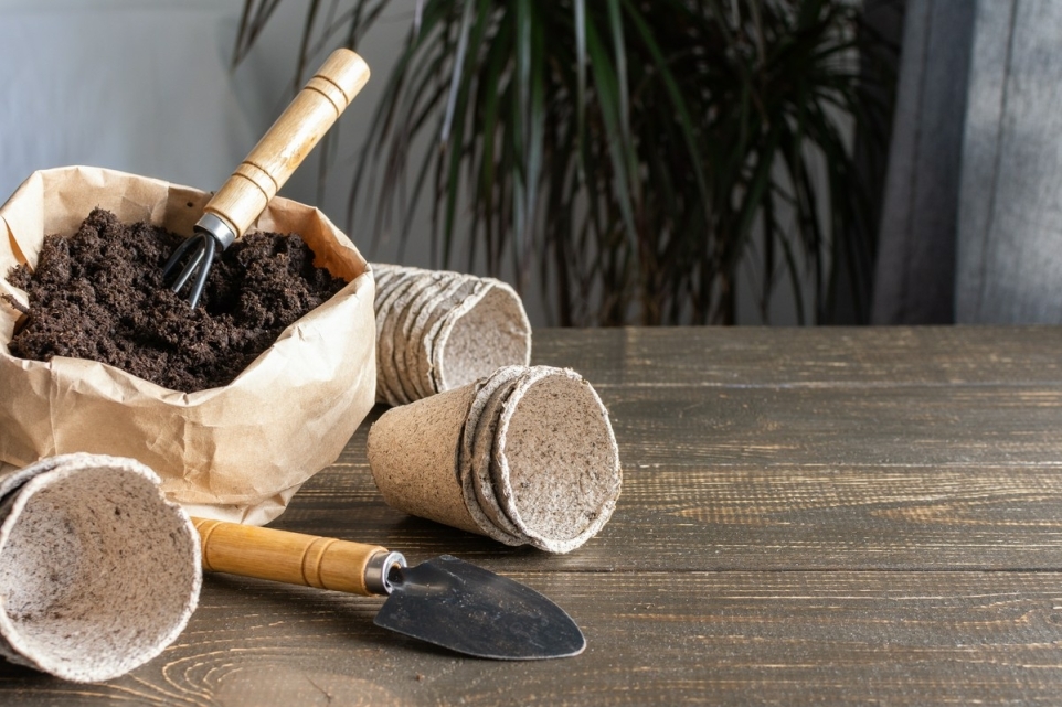 229d75ec-a98f-41bc-9764-171a5cdecbde-1770220341