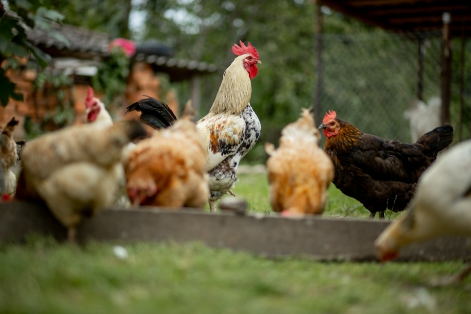 bdbe73a4-7b13-43ea-b13f-368f8e970105-1765827581