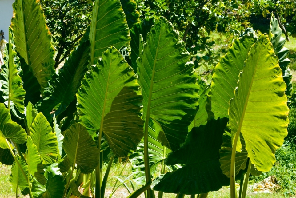 0e5159c6-f263-4635-bee2-6ccf234bd6a9-1765827591