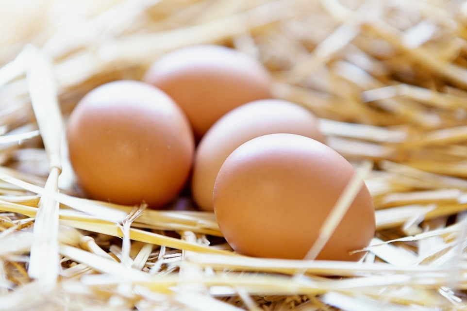 3c042499-8d4e-43fc-a95c-53a2a07f8090-1765827612