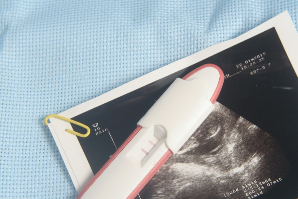 6835eed5-587e-451b-9fc4-0ae55151cd6b-1765492012