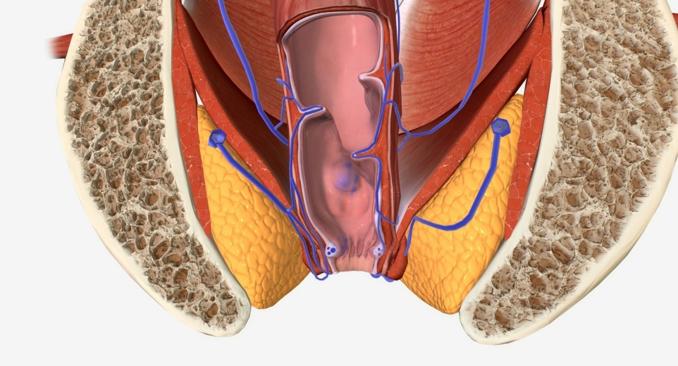 78f15c18-9a4a-4a5a-bf79-510112ec578f-1770244612