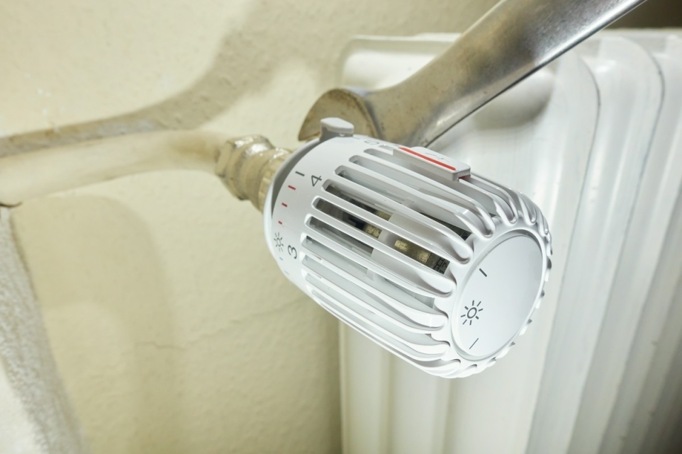 bae71fc8-58ca-404f-a3fd-f4c665879e36-1763069312