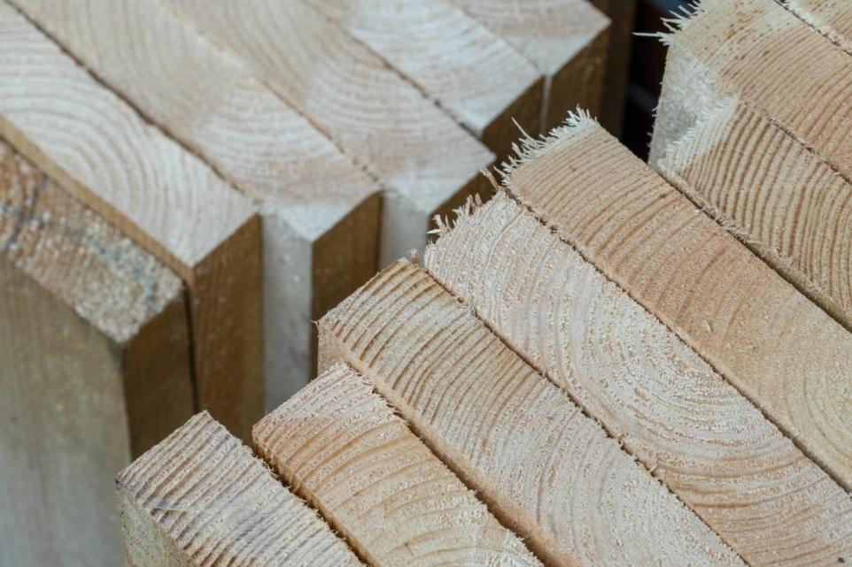 3542b41a-2fdf-44d4-8e69-2d1c25366e58-1770220722