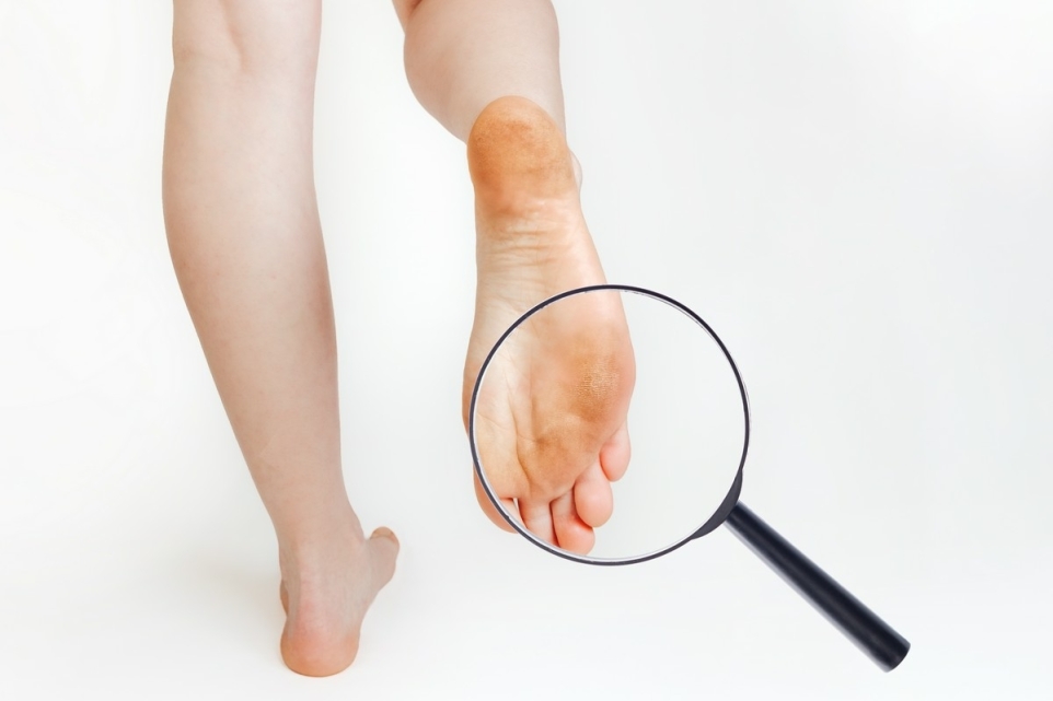 9ff85afa-8a09-4eca-aaae-44455158970b-1770244632