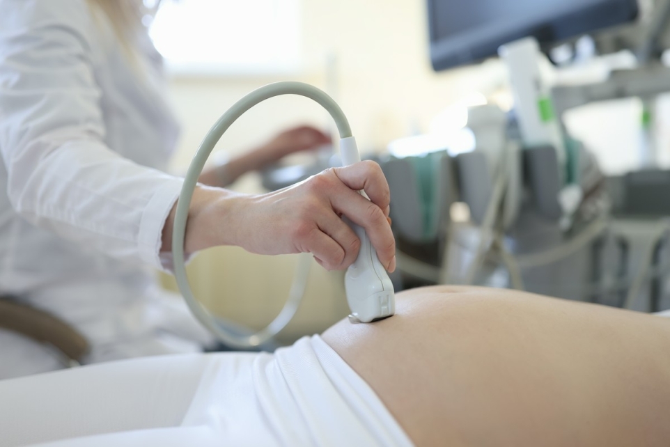 cfdaacfe-4a8b-43fb-9e15-cf0aa9ed26f0-1770245052