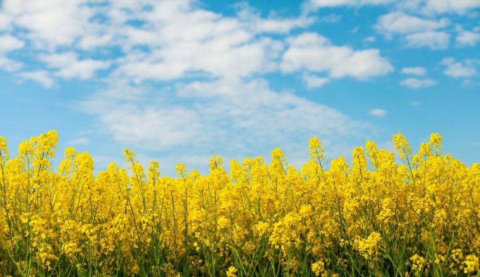 d4626cc2-b5f2-455d-bb78-2e107430e5d5-1758196852