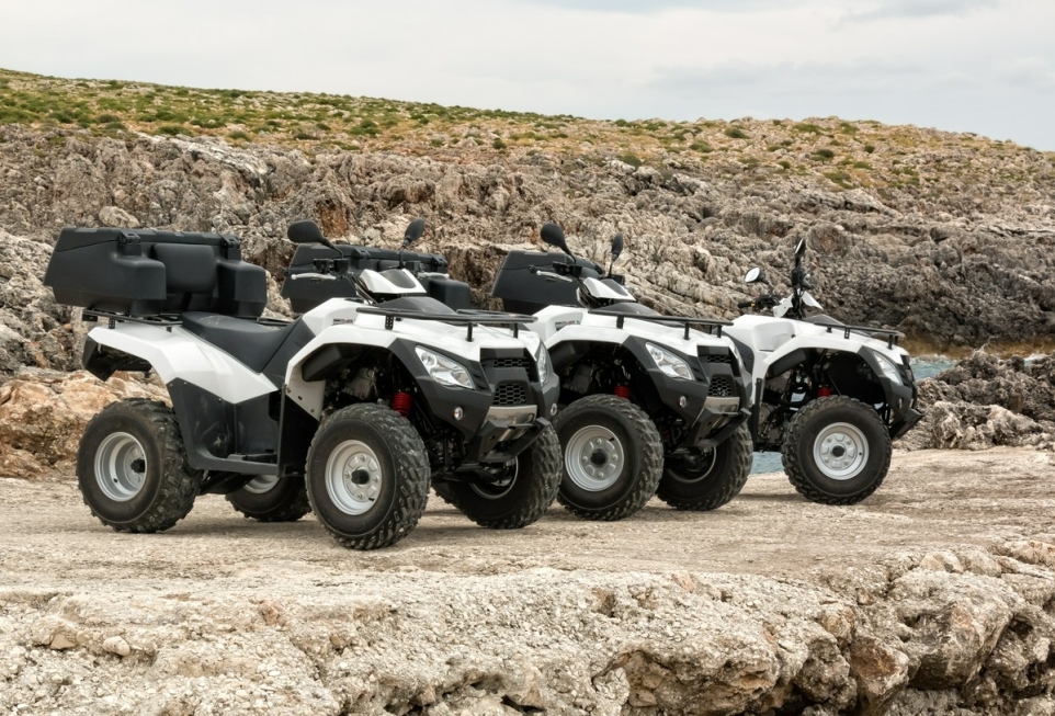 210d0ccb-5068-408d-9310-449a3dec244d-1764115372