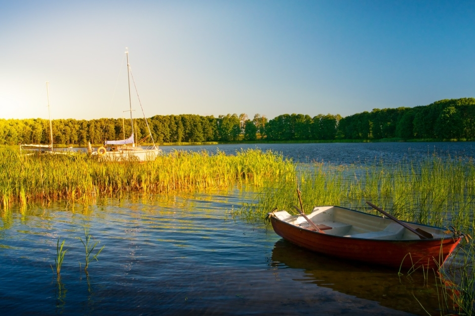 ebd72b40-b30a-4ea6-aa2d-3b01428aa13c-1765853192