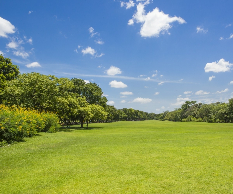 345a8ae1-8442-4617-af78-638065a1eca7-1765853513