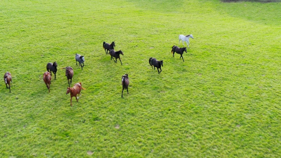 9ab35fe0-2b9c-4ec9-b8ef-1eaeca49f79f-1765811013