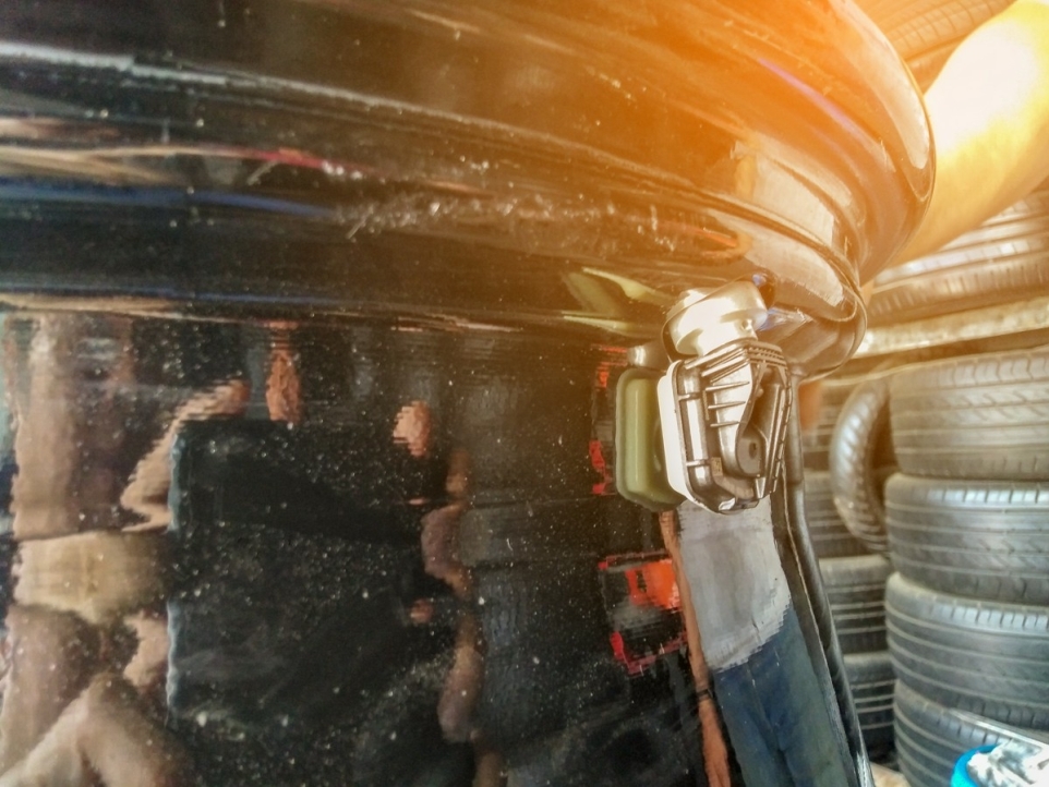 b5402259-2169-439e-a897-d77b9df94589-1770220573