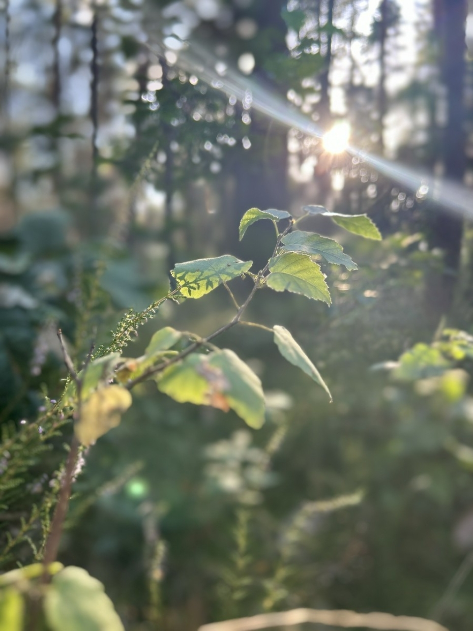 1264bcda-6c02-4f8c-aecb-7ccffafdb3d2-1770220583