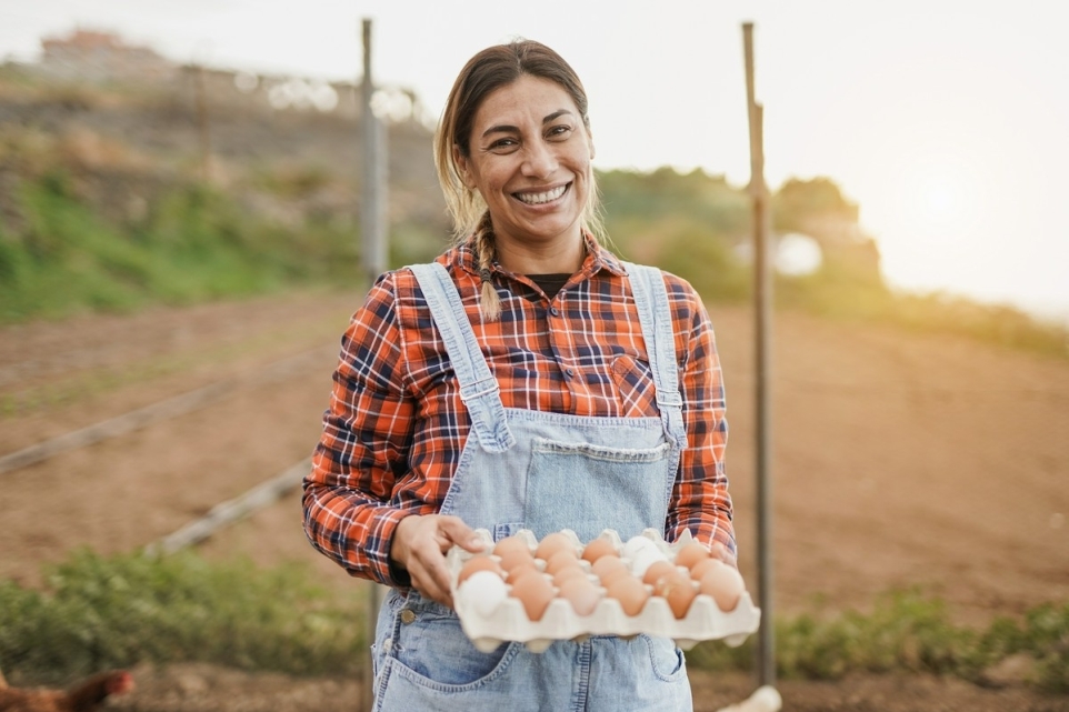 d1304963-e034-4b38-8d45-fe19bf4908db-1765827583