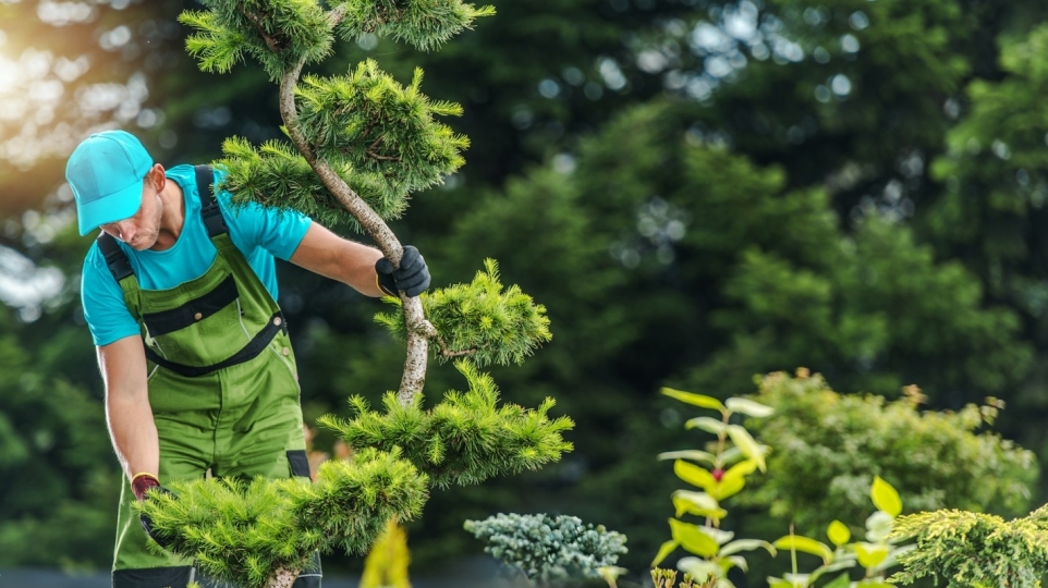 111febd0-cc99-49db-9b90-e4baf1fbd24d-1770220614