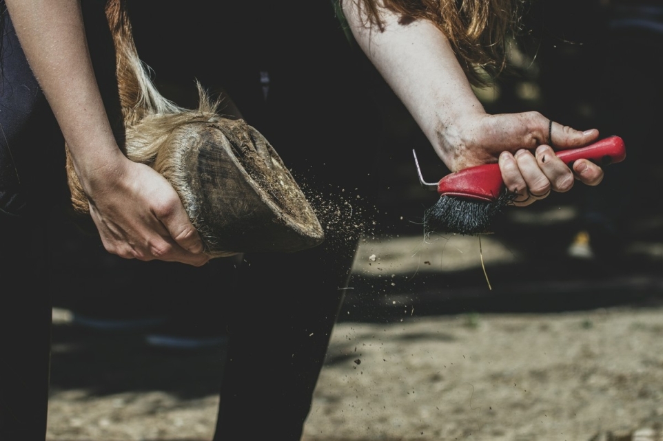 7bde19fd-7750-4d1e-8af2-3fbef3dc6e19-1758196844