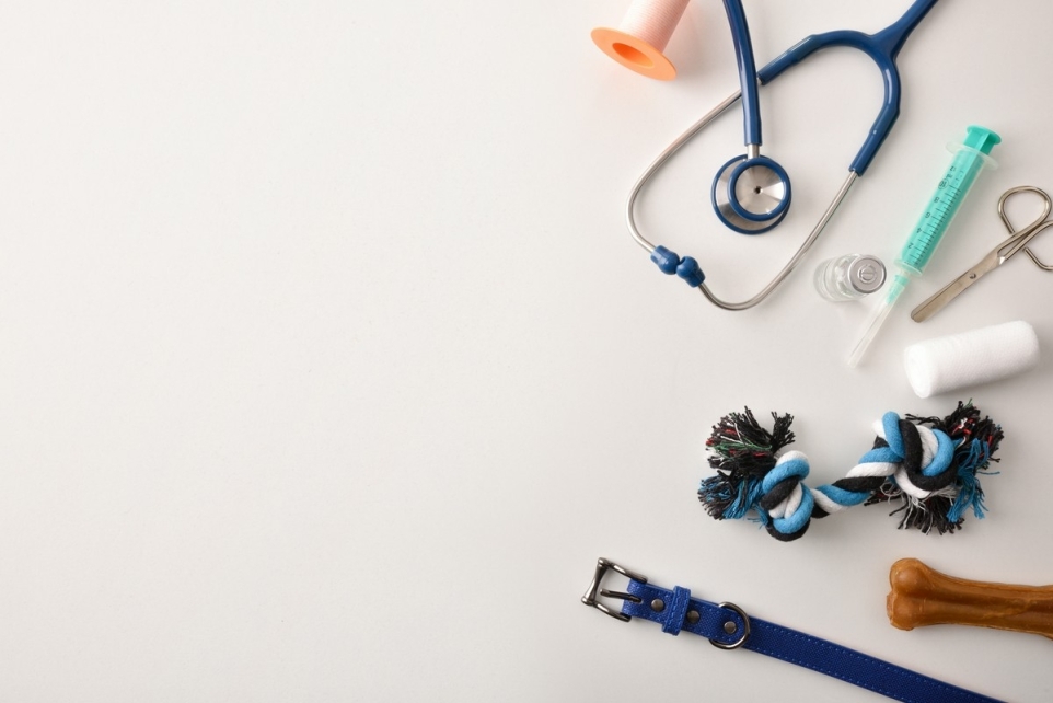 d80862ff-8fa2-498a-8b14-d4b796dcd14c-1765853154