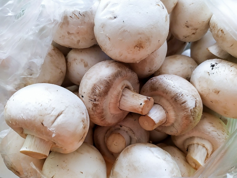 28a32299-c8fb-403c-8109-0d285cc042d7-1764115864