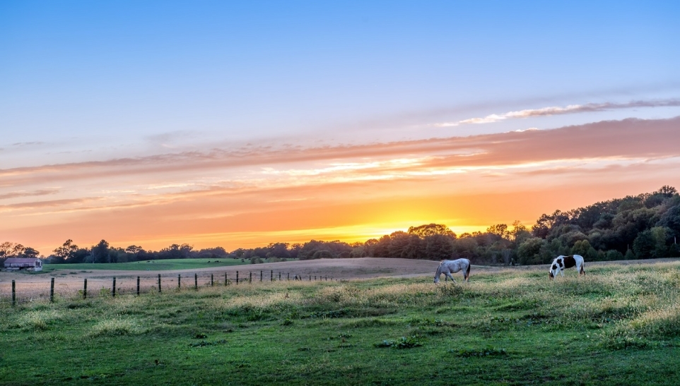 9fac2d14-eff6-4fc1-8ab5-0edba2c07773-1770244464