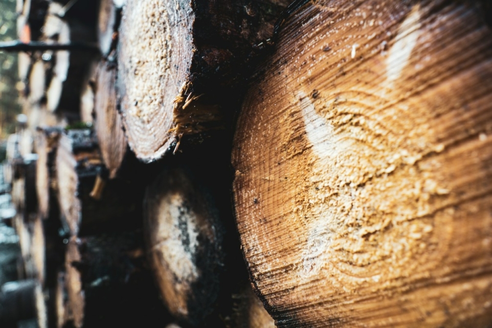 74beb327-816d-4e09-82ef-363c3d947020-1770245074