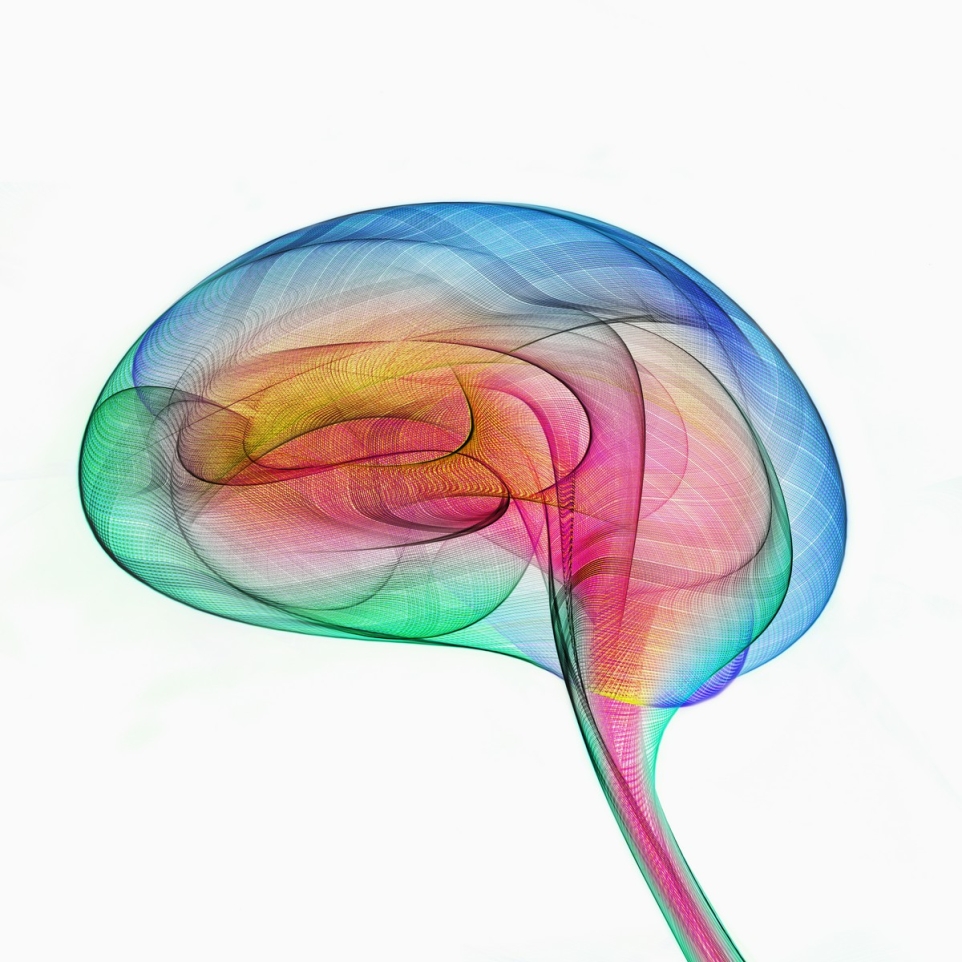 9e77eb5b-5f09-499e-995a-90a4487efe9a-1765853584