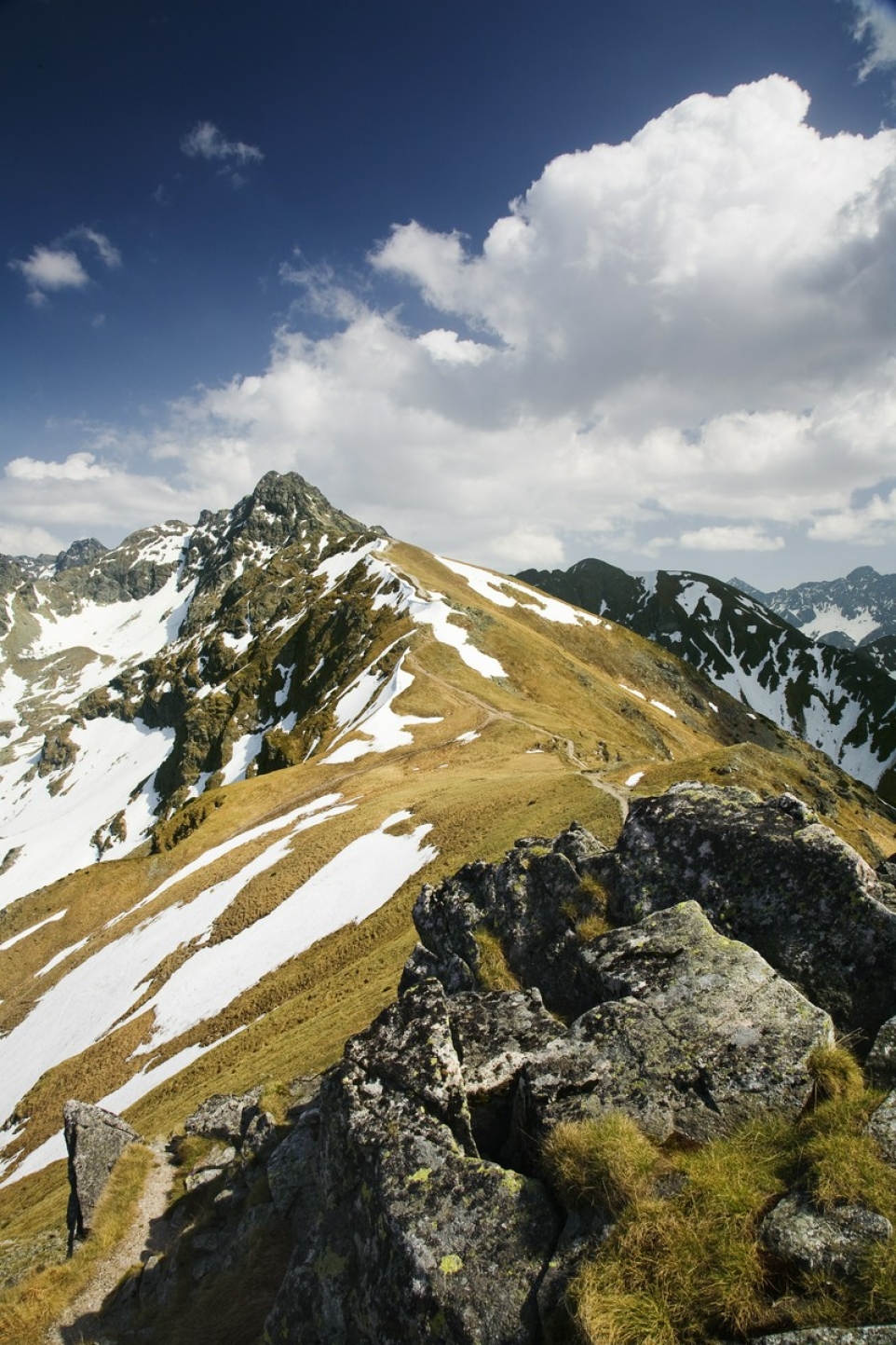 5f821288-aecb-4903-9c62-b37a54a63372-1764115494