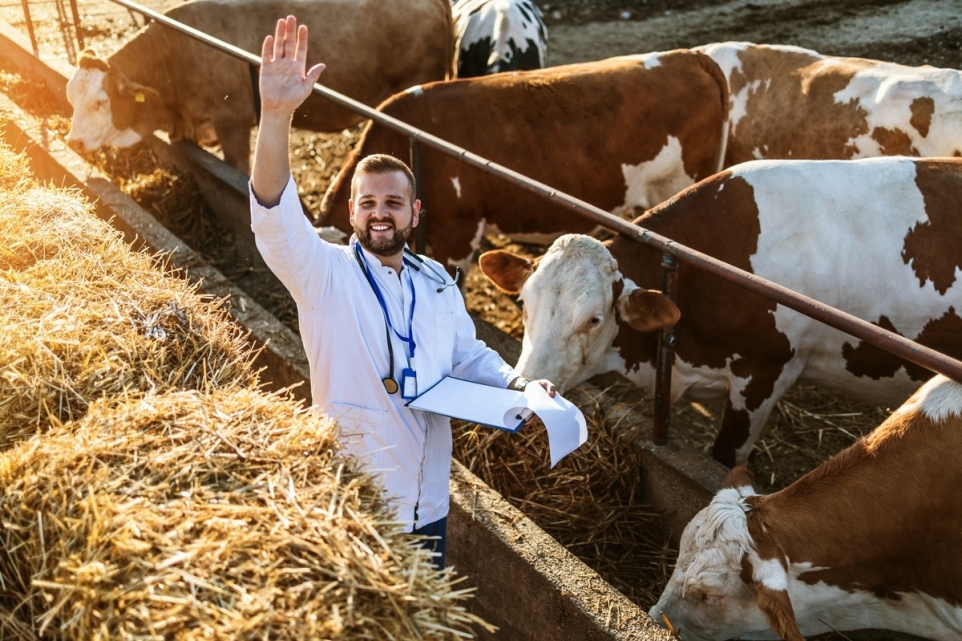 c6f130cc-e449-4a84-8ce3-c91edbfa0487-1765811005