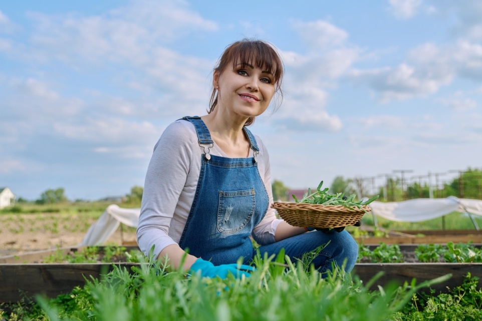 70fe2dd9-665e-4e1c-8355-1b0f3d2a74e6-1765827625