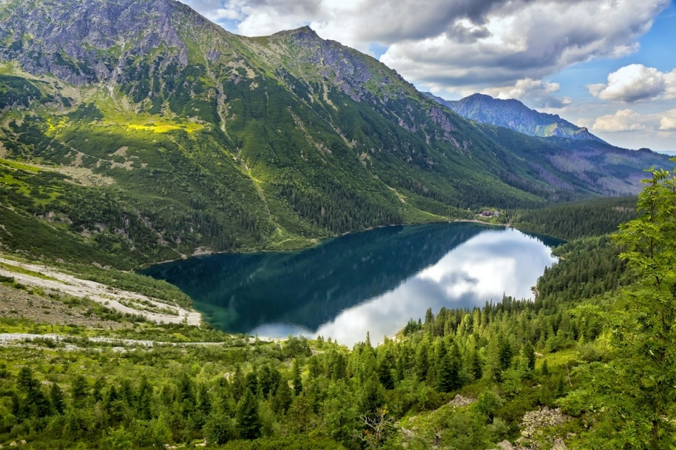 a3ead623-7979-4ea9-9c64-34b63d45aa2a-1765853045