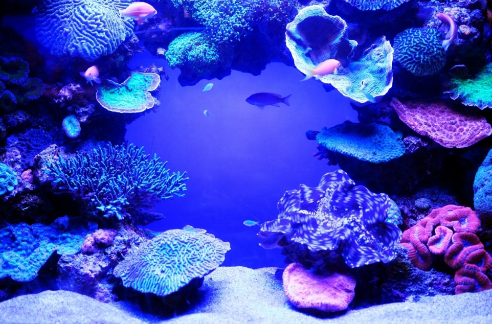 e520ea14-babd-4309-8ac4-b0a943592cf4-1770245345