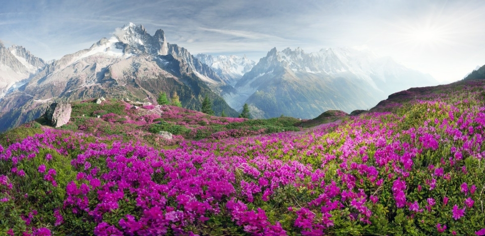 a36ebd1d-238c-4835-af79-ce312ac27e3c-1758658875