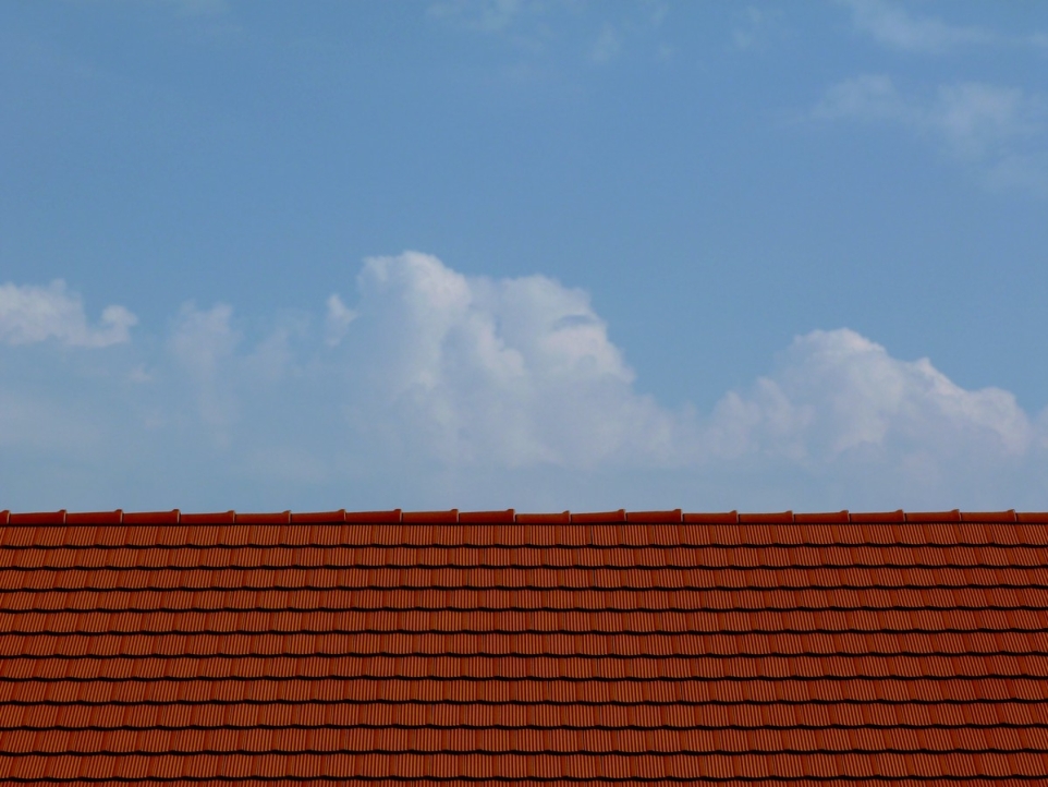 c80c6903-47f3-455c-90e8-f76e0e4d5932-1770220485