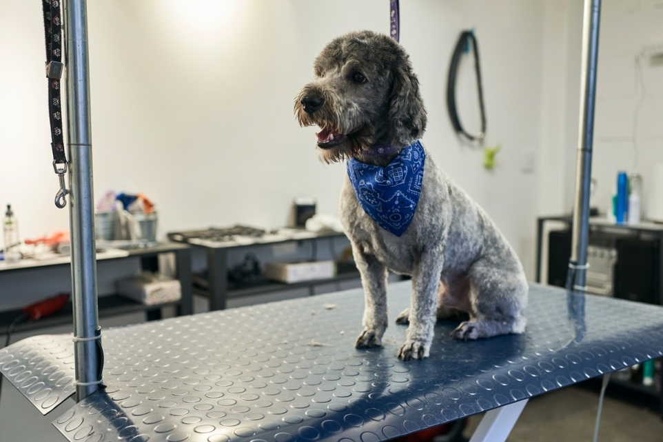 d6162721-860b-4c0c-8935-d83816e28366-1764115395