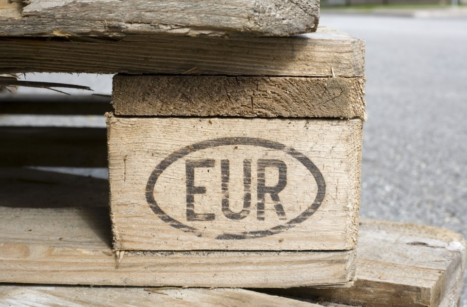 f749b117-a439-4263-82e3-70f6e6c0c361-1770245295